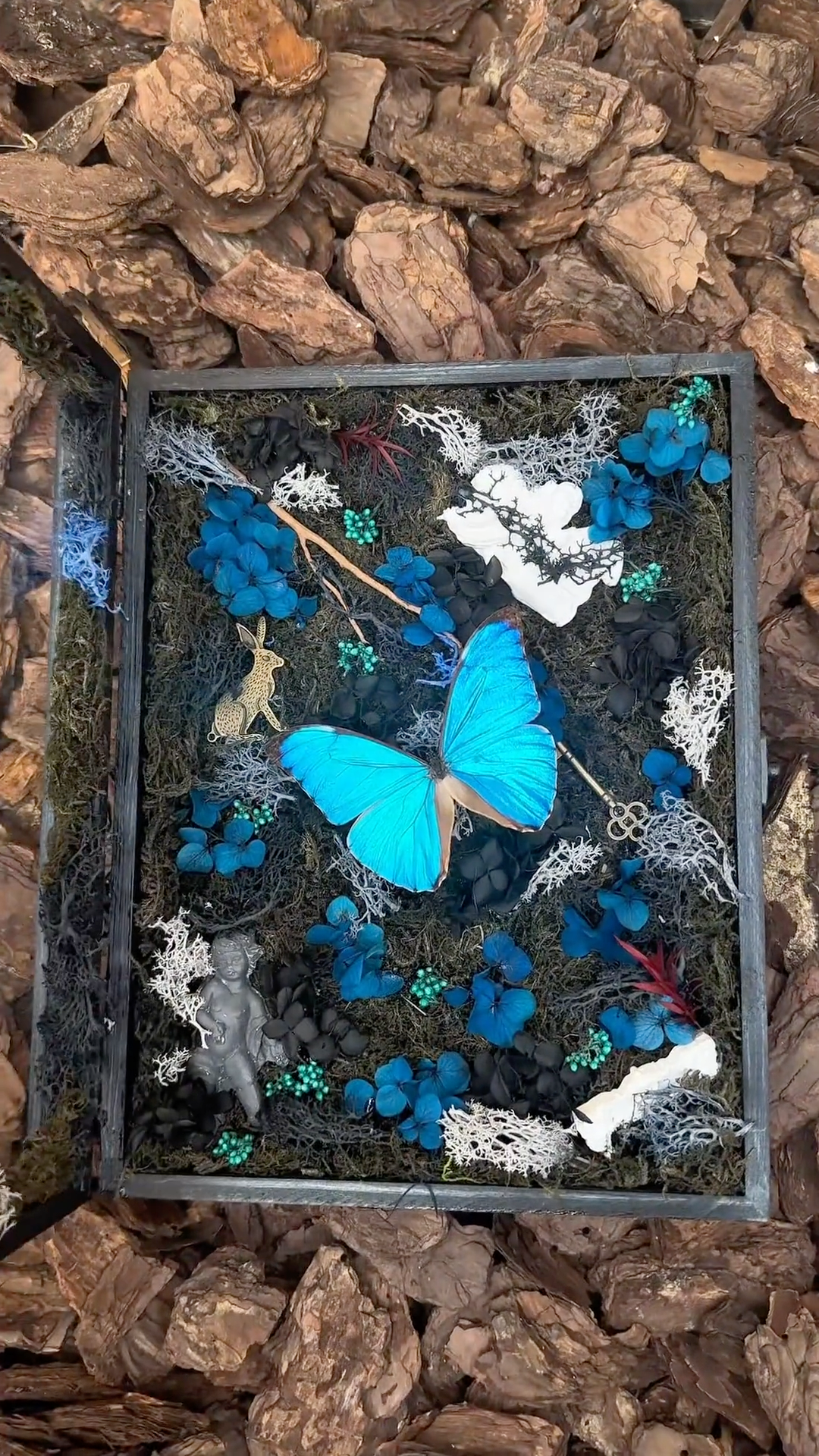 InsectArts Enchanted Morpho Treasure Box | Crystal & Moss Curio