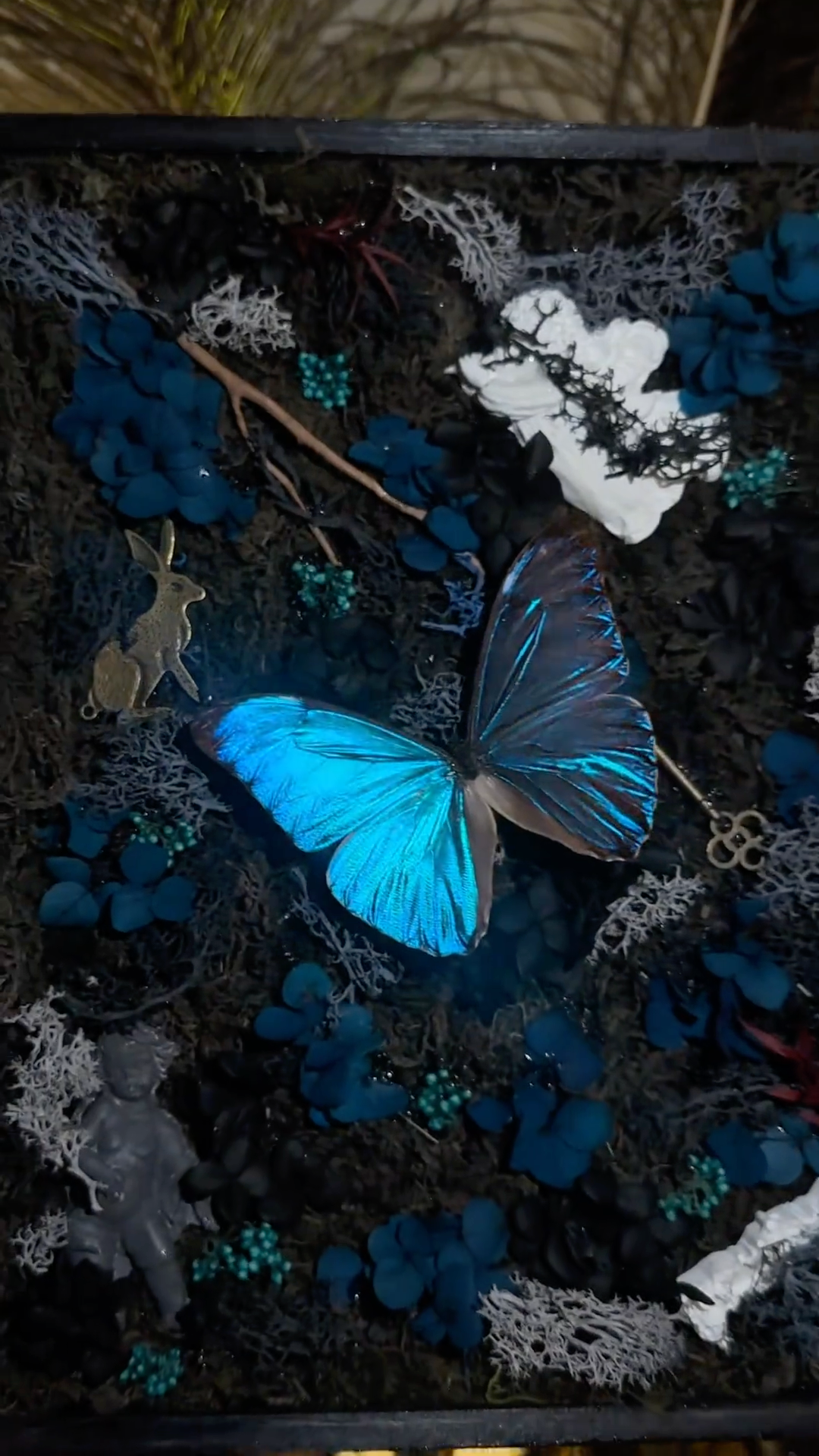 InsectArts Enchanted Morpho Treasure Box | Crystal & Moss Curio