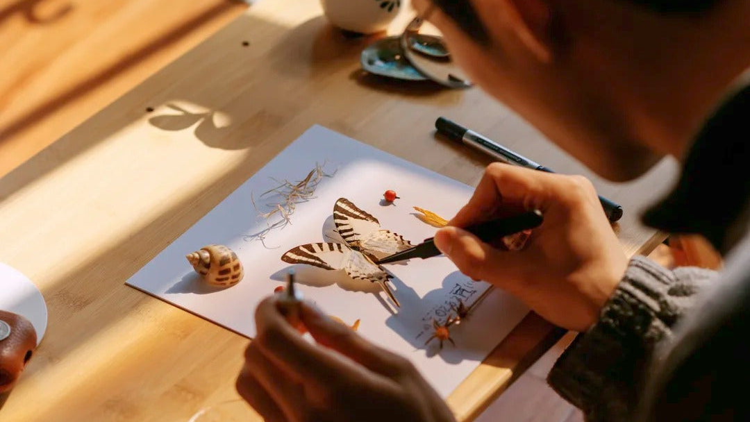 Handcrafted Butterfly Specimen Decor — Premium Customization