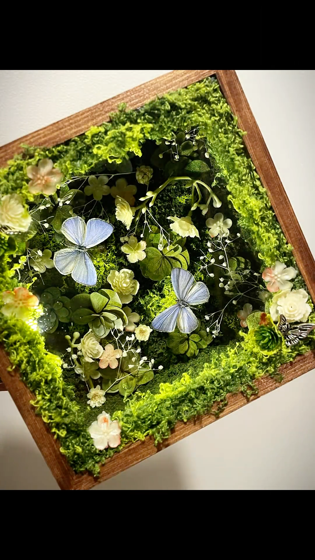 InsectArts Enchanted Botanical Music Box | Butterfly Diorama "Day & Night" Collection