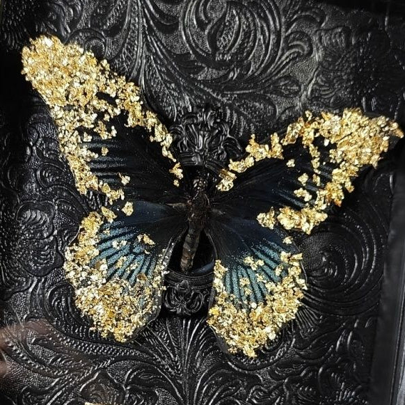 InsectArts luxury framed moth specimen. Features a golden-brown moth mounted on a black background with intricate gold celestial, sun, and moon illustrations. A premium esoteric entomology art piece and unique gothic home decor gift.