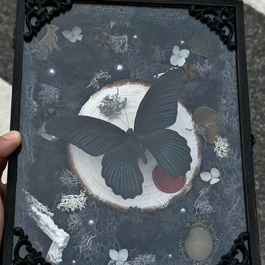 InsectArts Gothic Black Butterfly Shadow Box Art