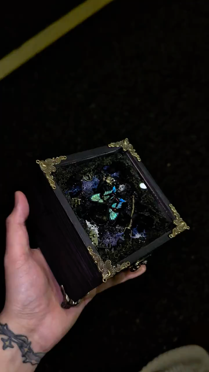 InsectArts Enchanted Botanical Music Box | Butterfly Diorama "Day & Night" Collection