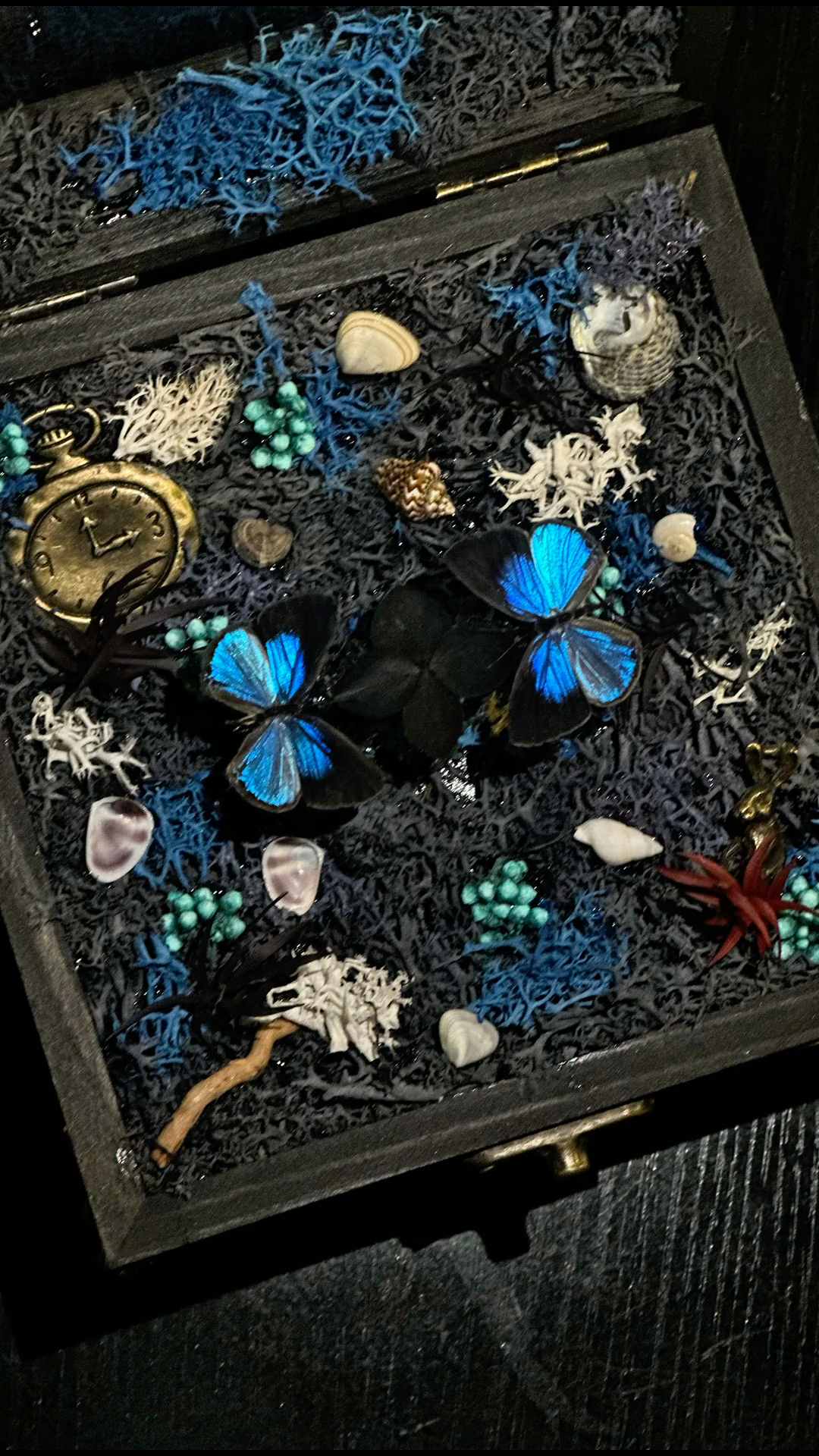 InsectArts Enchanted Botanical Music Box | Butterfly Diorama "Day & Night" Collection