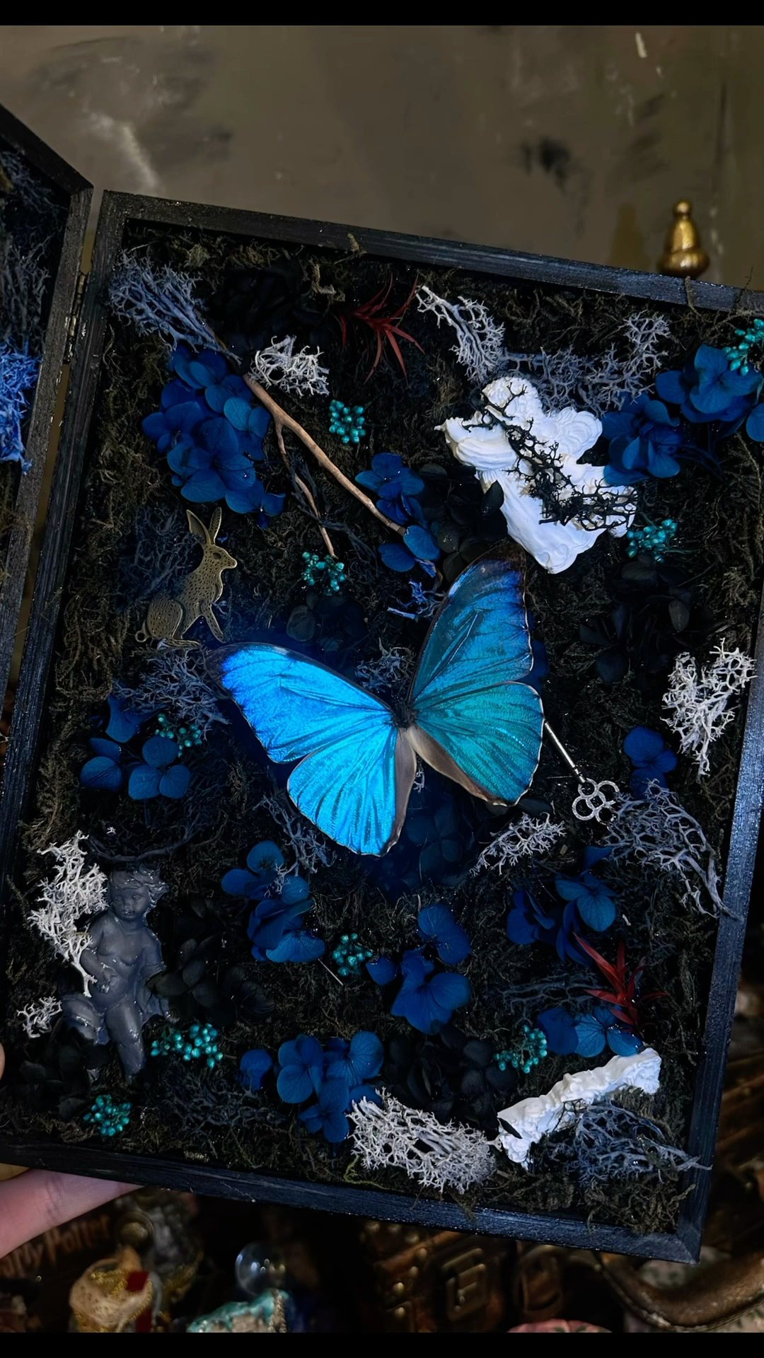 InsectArts Enchanted Morpho Treasure Box | Crystal & Moss Curio