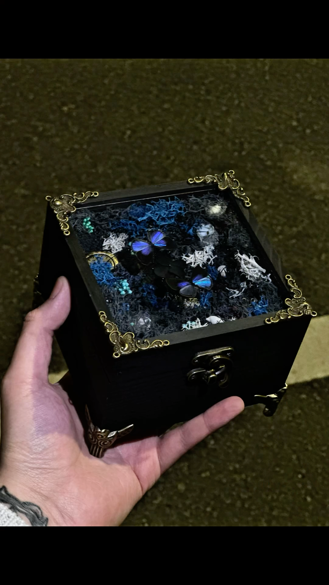 InsectArts Enchanted Botanical Music Box | Butterfly Diorama "Day & Night" Collection