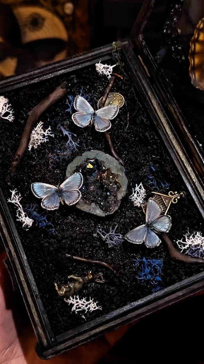 InsectArts Dark Mystic Morpho Treasure Box | Gothic Crystal & Woodland Curio
