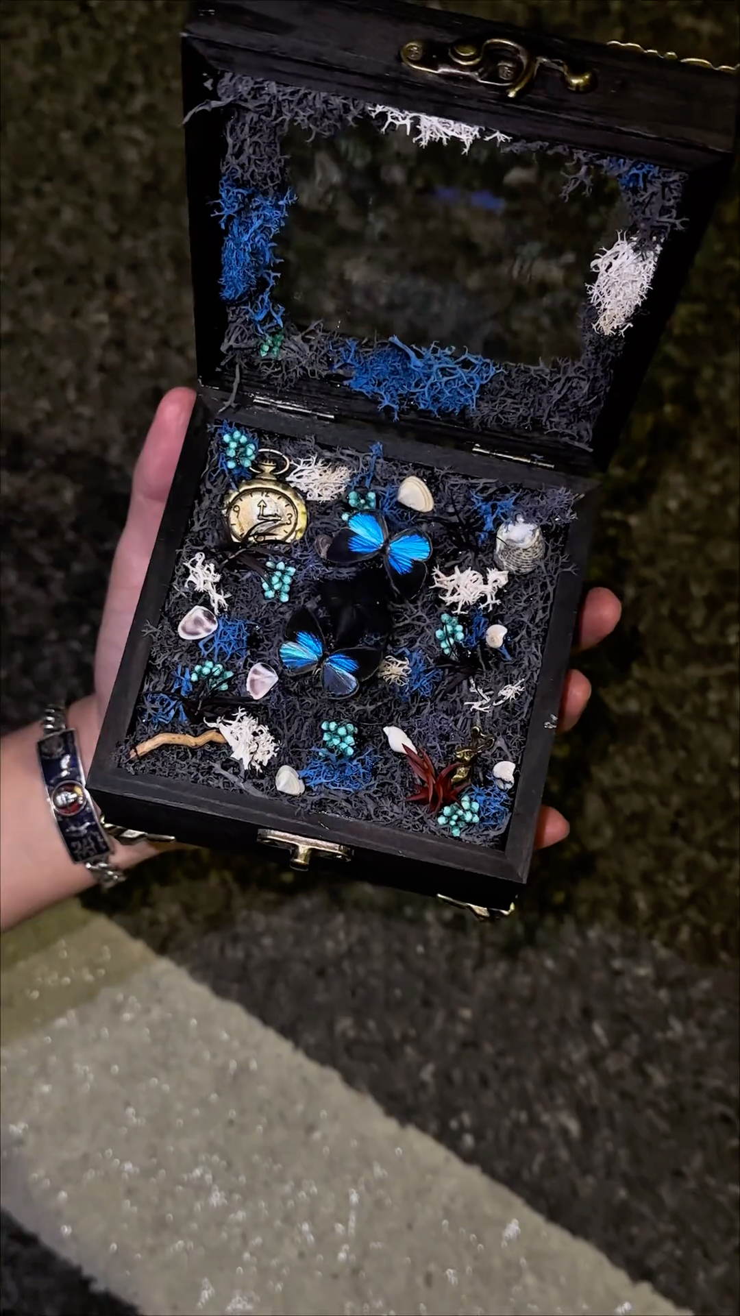 InsectArts Enchanted Botanical Music Box | Butterfly Diorama "Day & Night" Collection