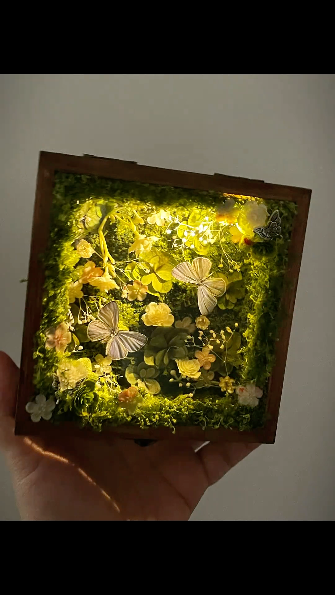 InsectArts Enchanted Botanical Music Box | Butterfly Diorama "Day & Night" Collection
