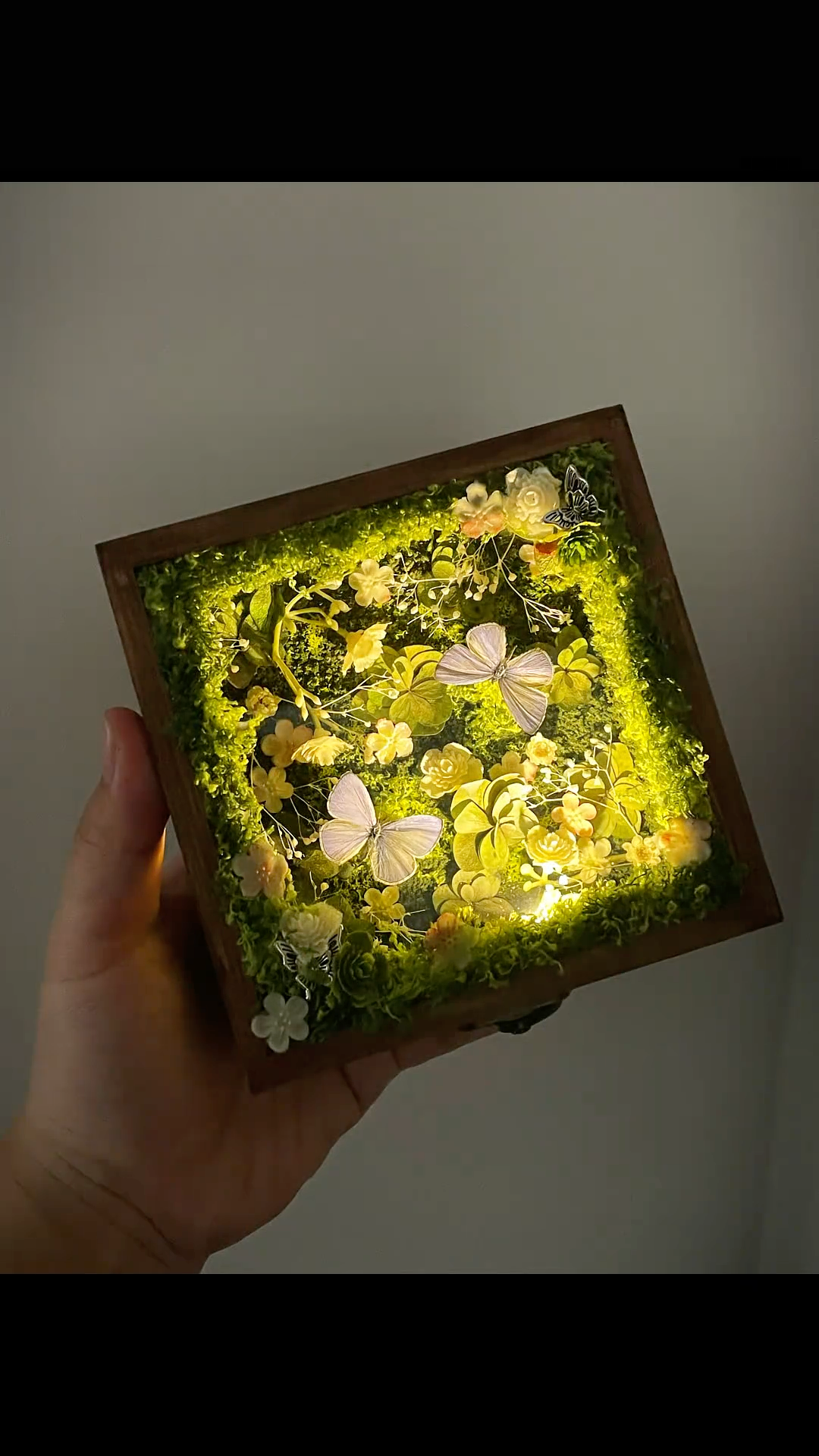 InsectArts Enchanted Botanical Music Box | Butterfly Diorama "Day & Night" Collection