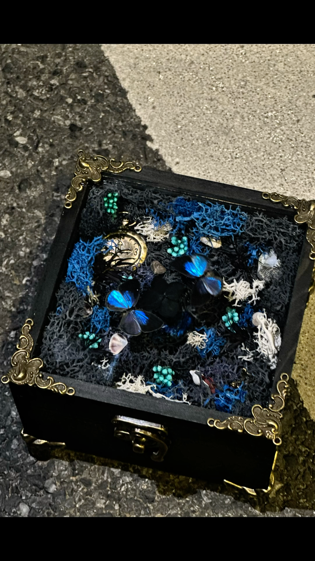 InsectArts Enchanted Botanical Music Box | Butterfly Diorama "Day & Night" Collection