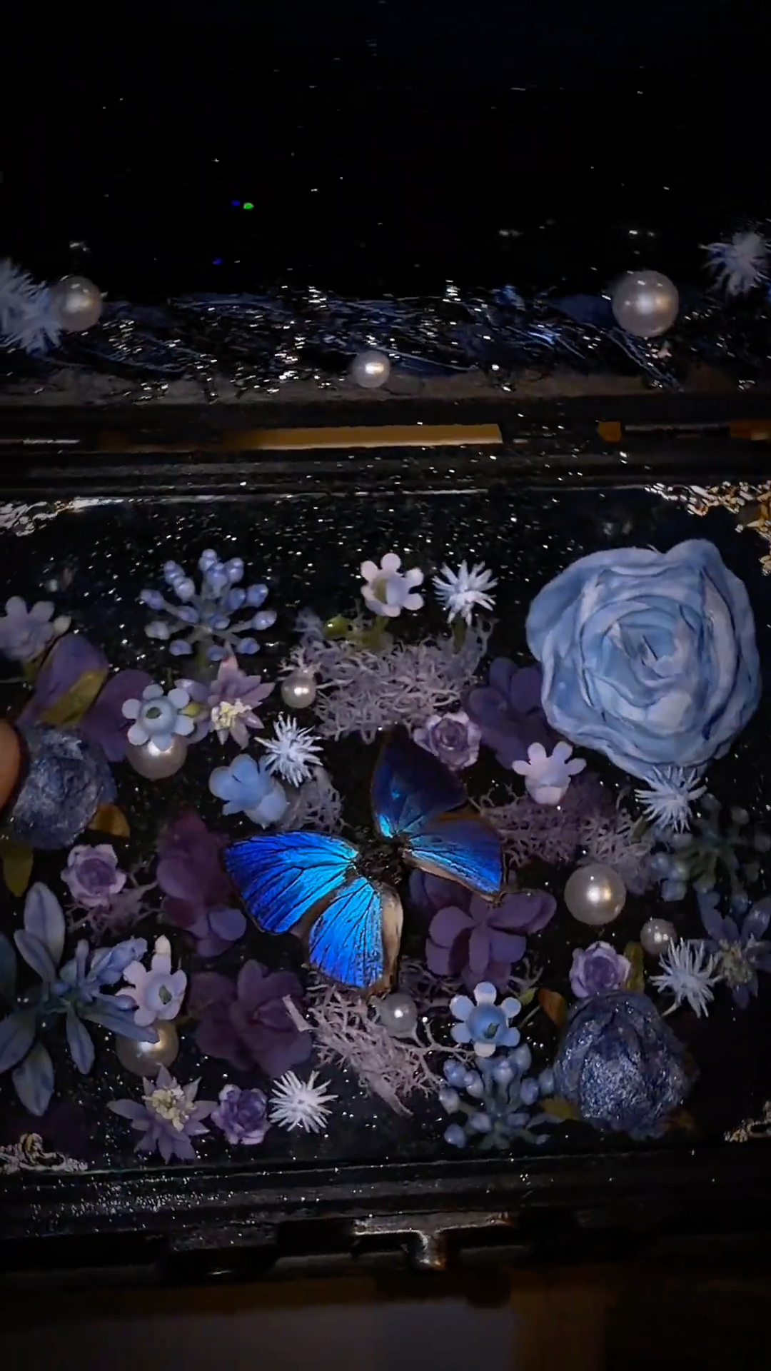 InsectArts Enchanted Botanical Music Box | Butterfly Diorama "Day & Night" Collection