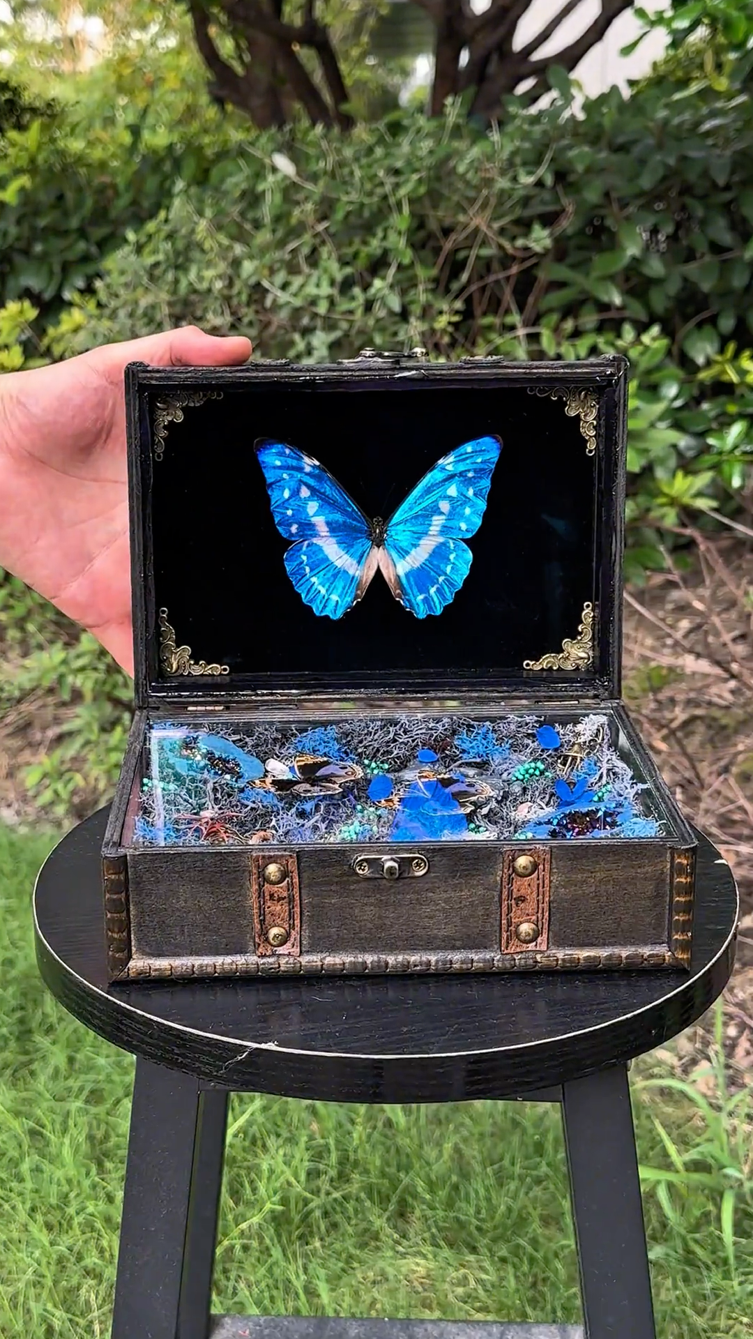 InsectArts Enchanted Botanical Music Box | Butterfly Diorama "Day & Night" Collection