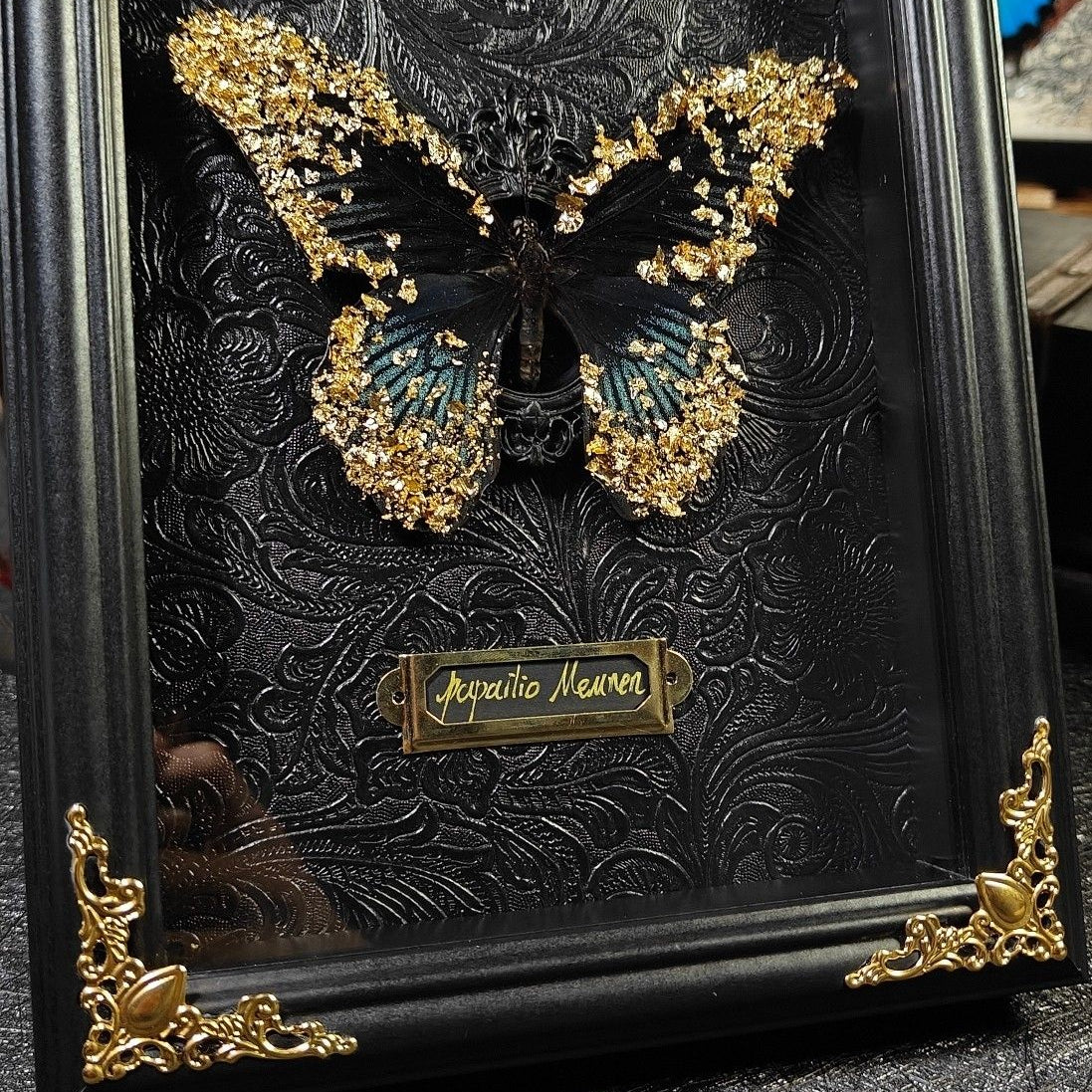 InsectArts framed golden-brown moth specimen on a black background with intricate gold-embossed celestial illustrations including a moon, sun, and 'The Celestial Eclipse' text. A luxury esoteric taxidermy piece for unique gothic home decor.