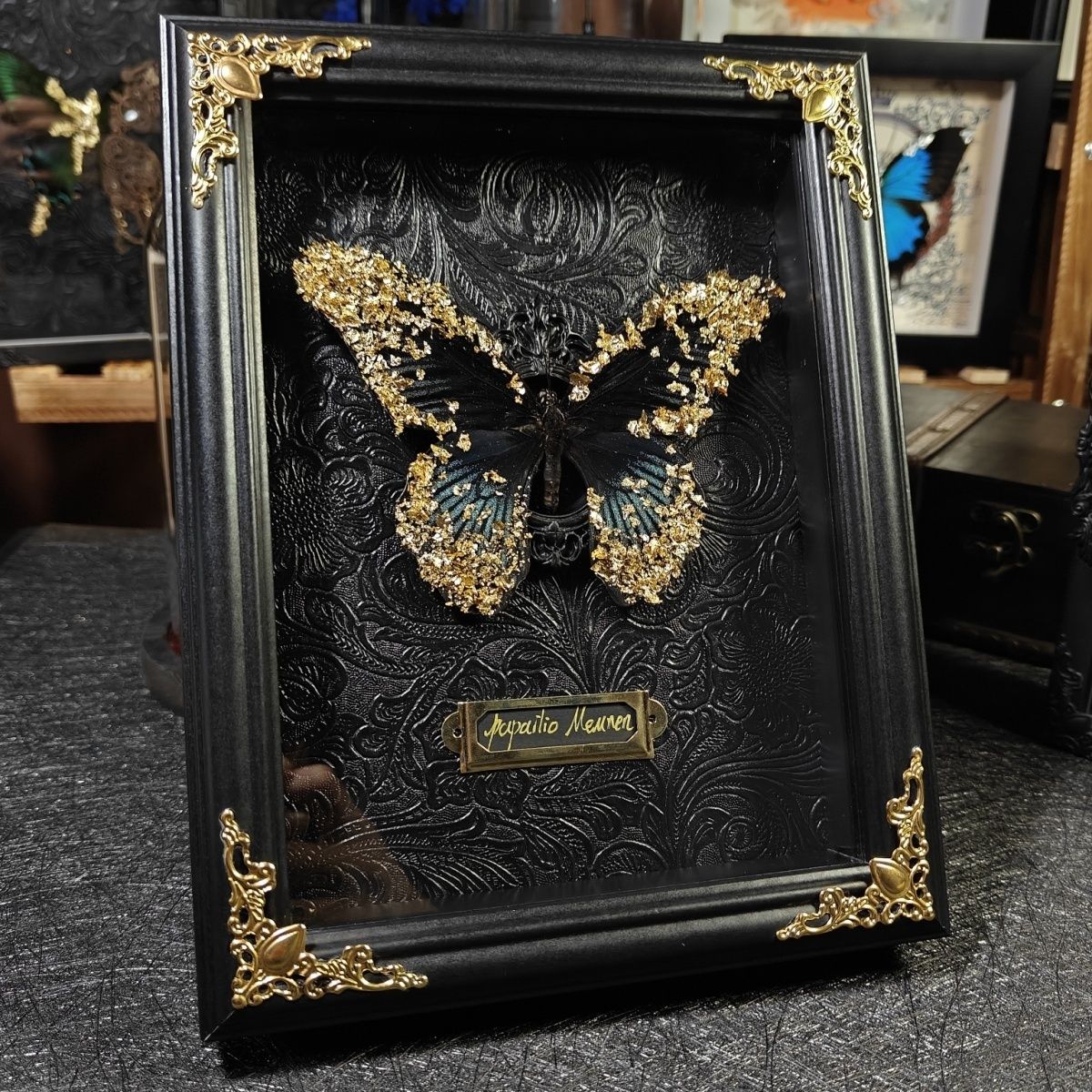 A close-up photograph of a framed Papilio Memnon butterfly specimen. The black and teal wings feature scattered gold leaf flakes against an embossed black baroque floral pattern background. Includes a brass species nameplate and corner accents for gothic luxury.