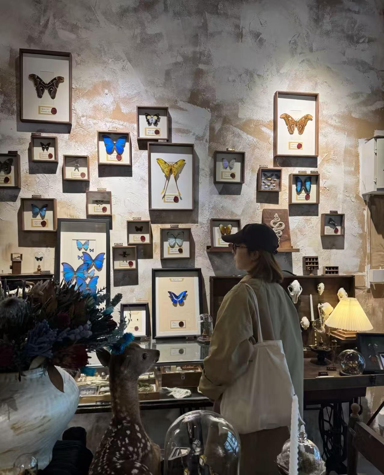 Why We Need a Digital Sanctuary in a World of Noise