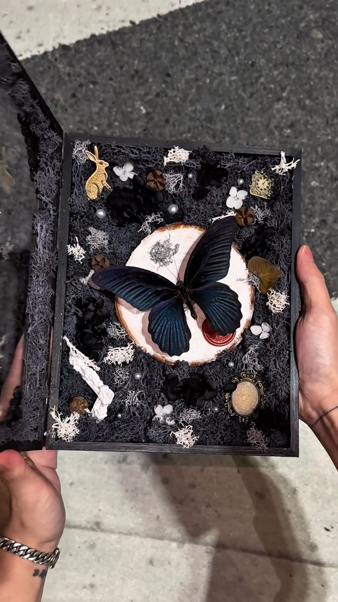 InsectArts Gothic Black Butterfly Shadow Box Art