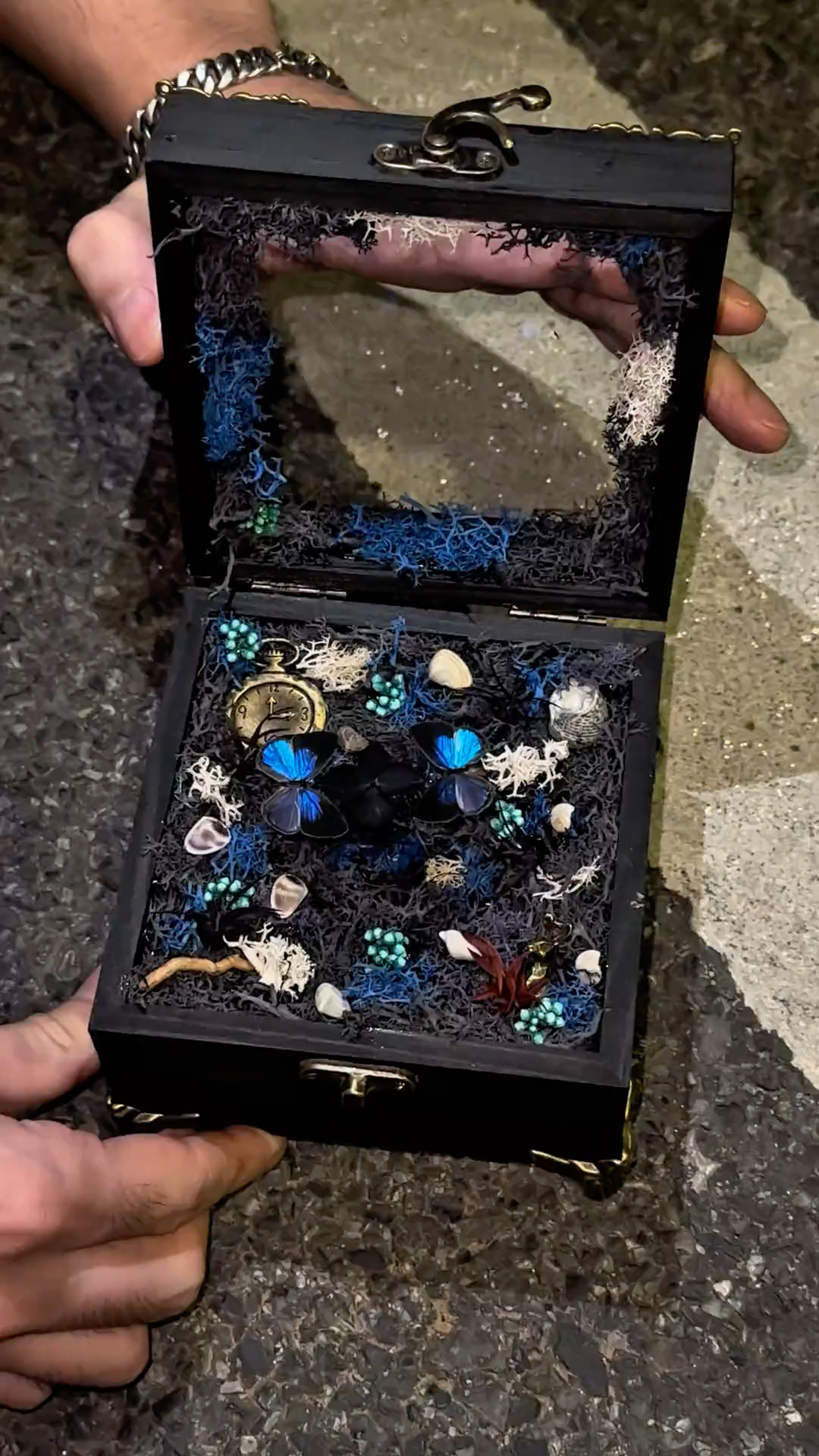 InsectArts Enchanted Botanical Music Box | Butterfly Diorama "Day & Night" Collection