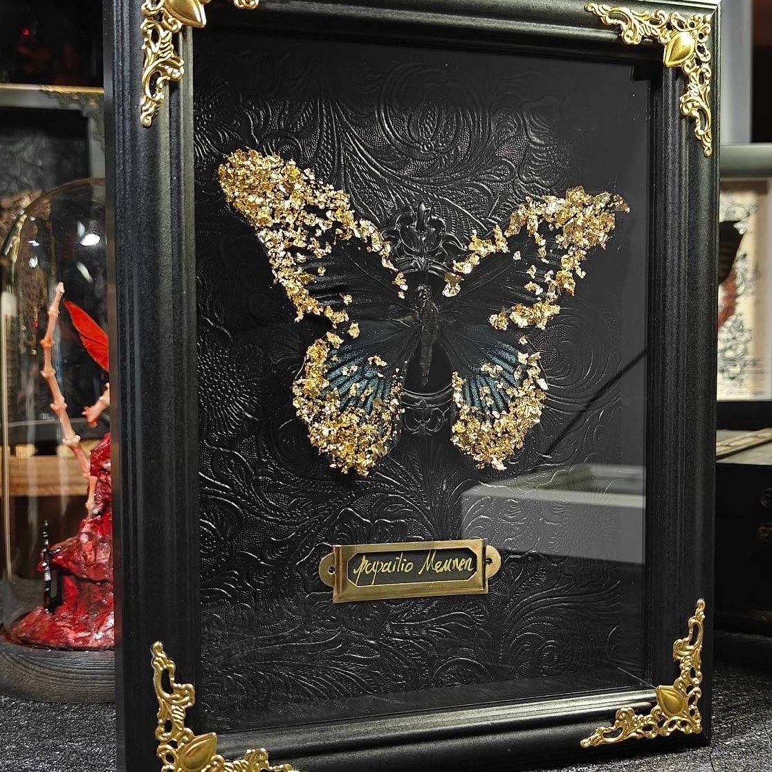 Front view of an esoteric framed moth specimen. The golden moth taxidermy is centered against a dark background with gold-foiled mystical symbols, including lilies and a celestial moon and sun design. A curated gift for lovers of the occult and gothic art.