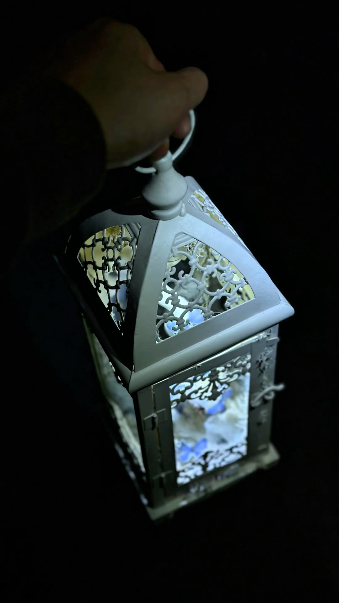 Black and White Lantern-Style Butterfly Specimen