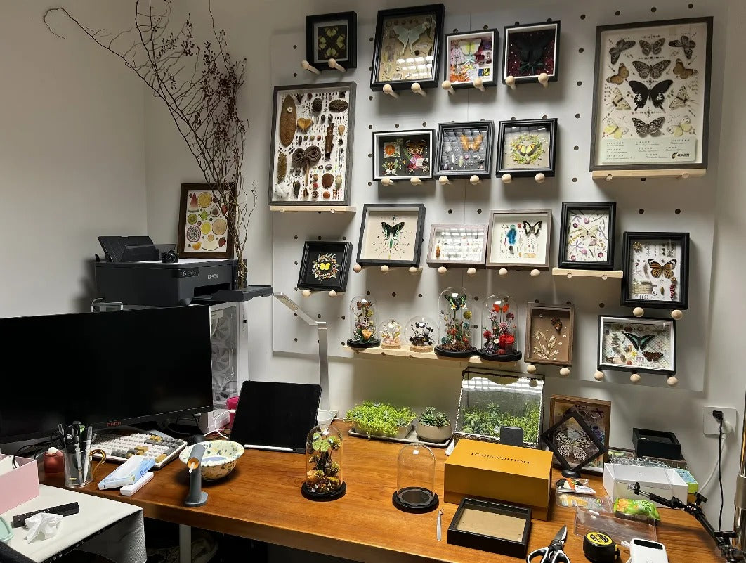 Handcrafted Butterfly Specimen Decor — Premium Customization