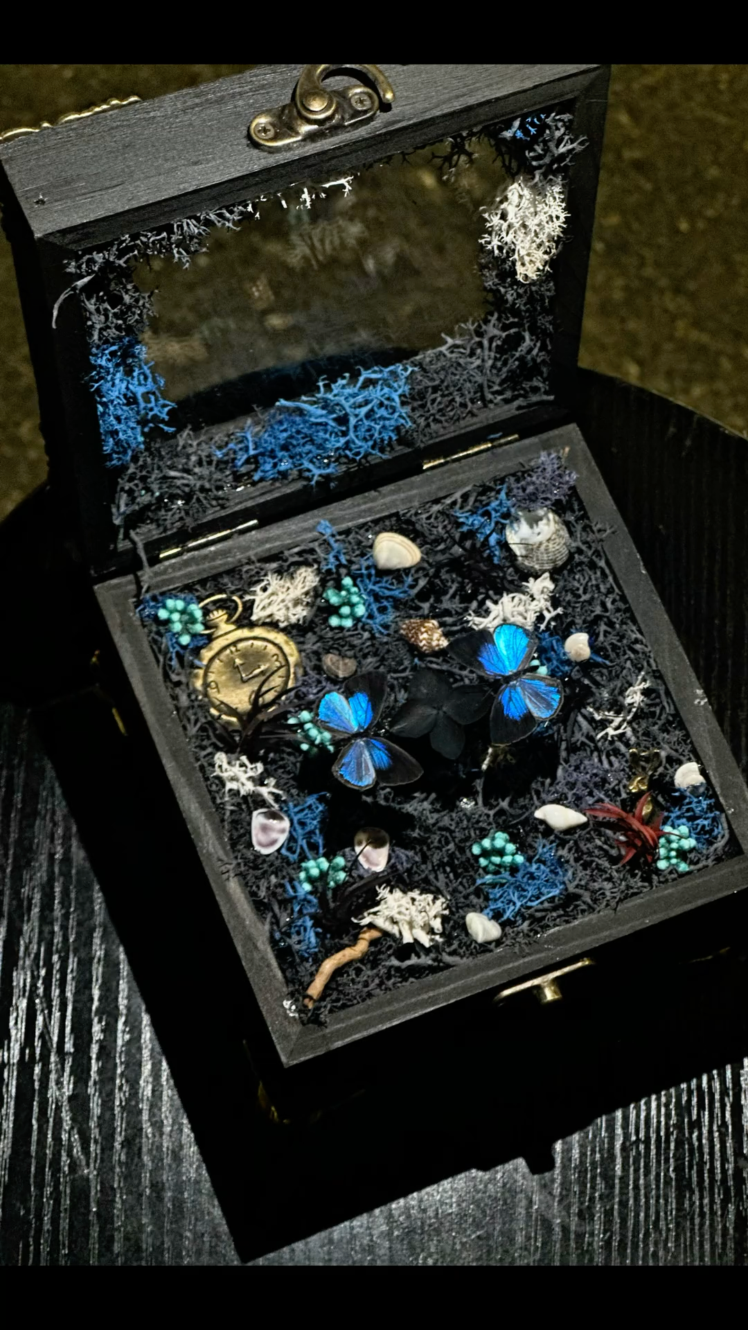 InsectArts Enchanted Botanical Music Box | Butterfly Diorama "Day & Night" Collection
