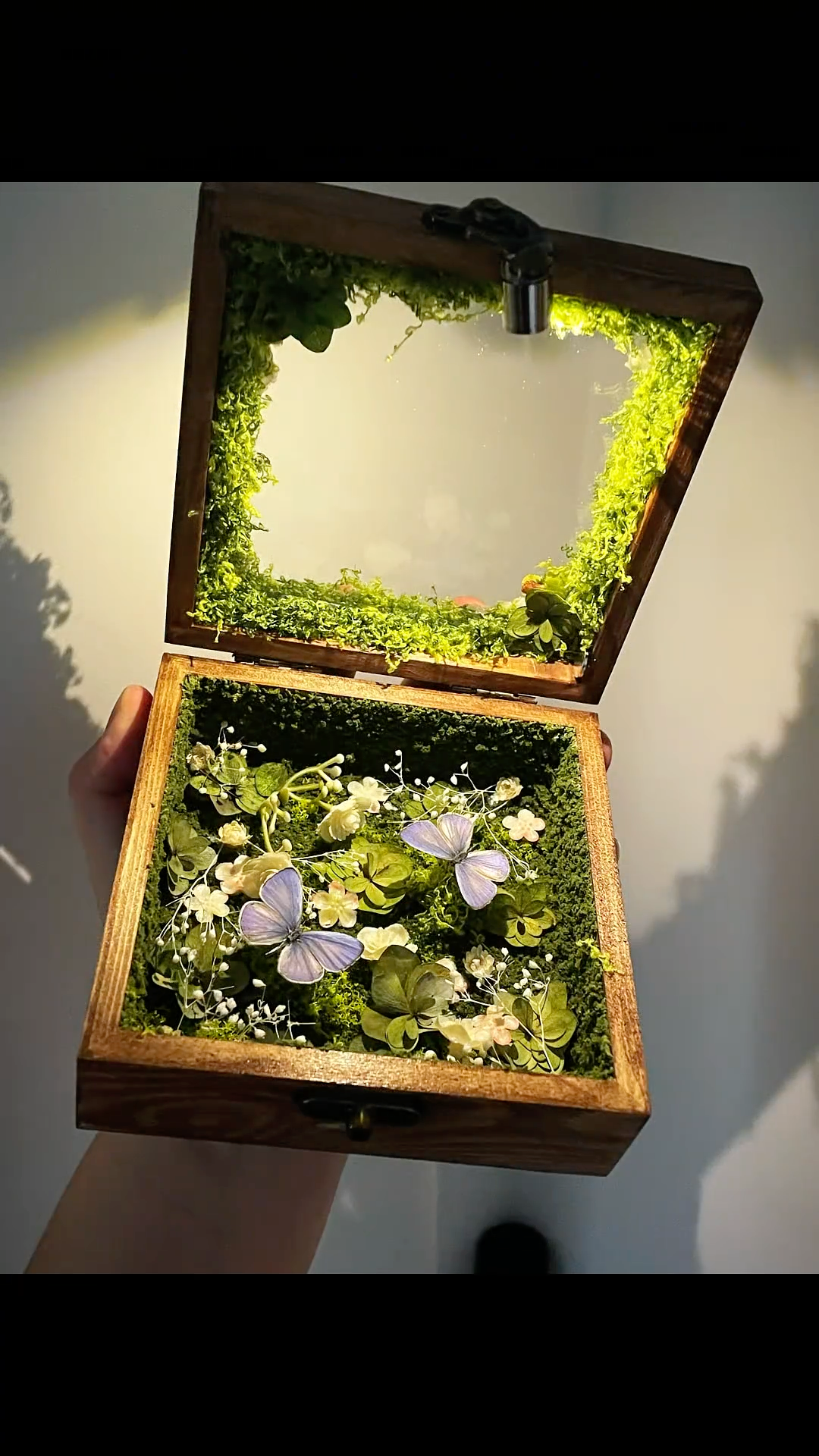 InsectArts Enchanted Botanical Music Box | Butterfly Diorama "Day & Night" Collection