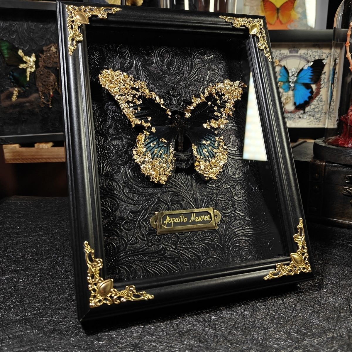 Angled view of InsectArts luxury framed Papilio Memnon butterfly taxidermy. Showcases the 3D depth of the gold leaf wings against a black embossed background, displayed in a frame with gold corner hardware and a brass species tag.