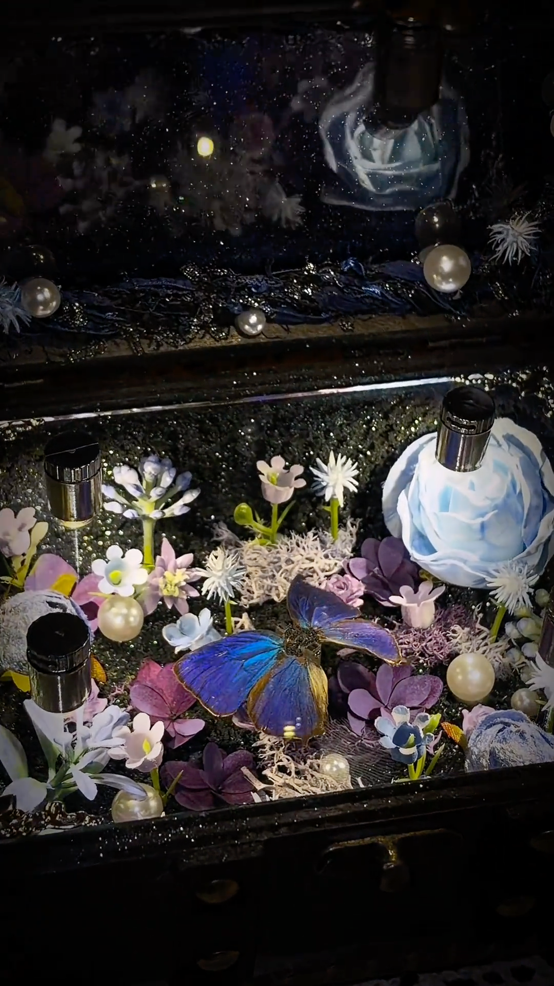 InsectArts Enchanted Botanical Music Box | Butterfly Diorama "Day & Night" Collection