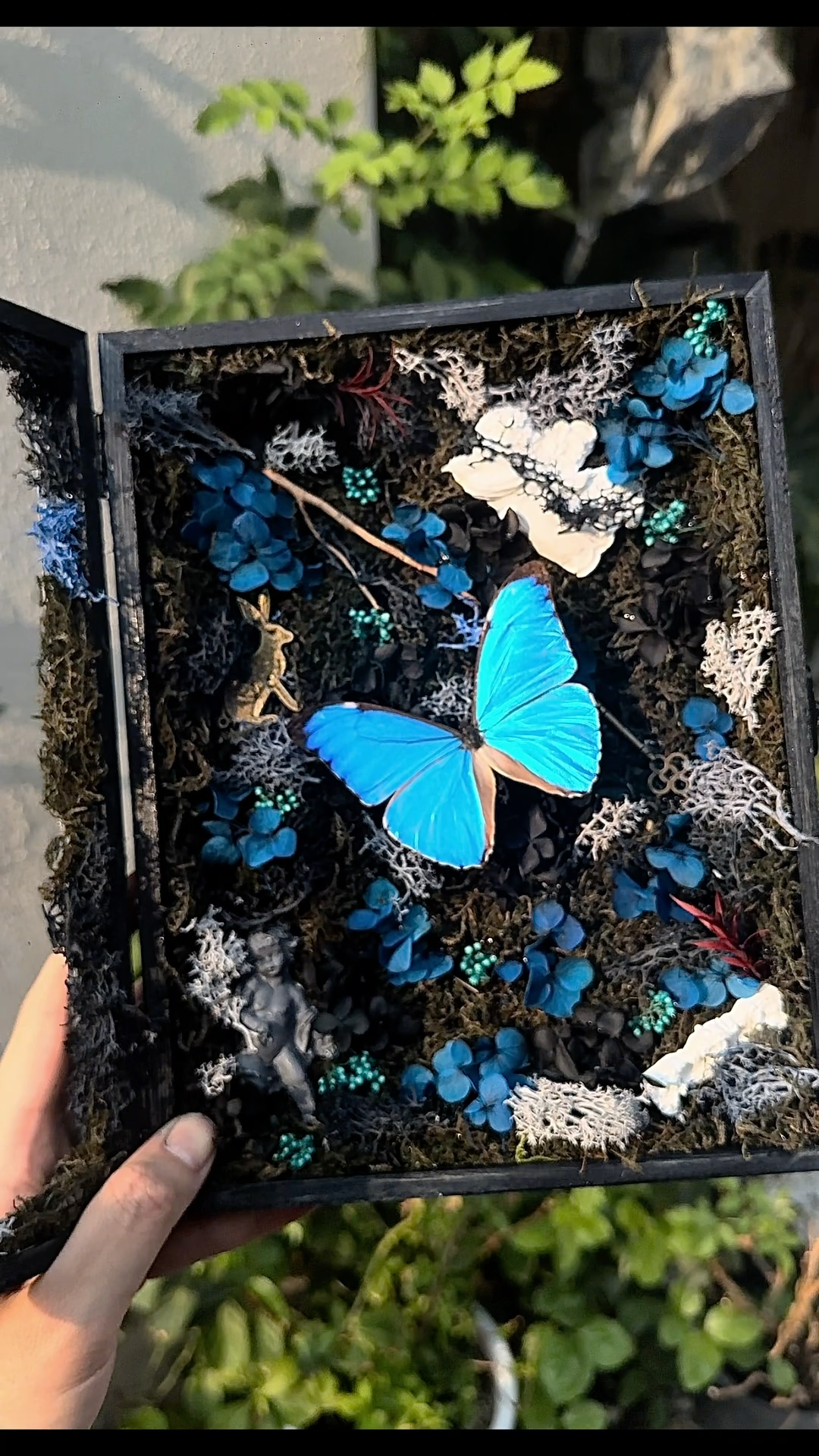InsectArts Enchanted Morpho Treasure Box | Crystal & Moss Curio