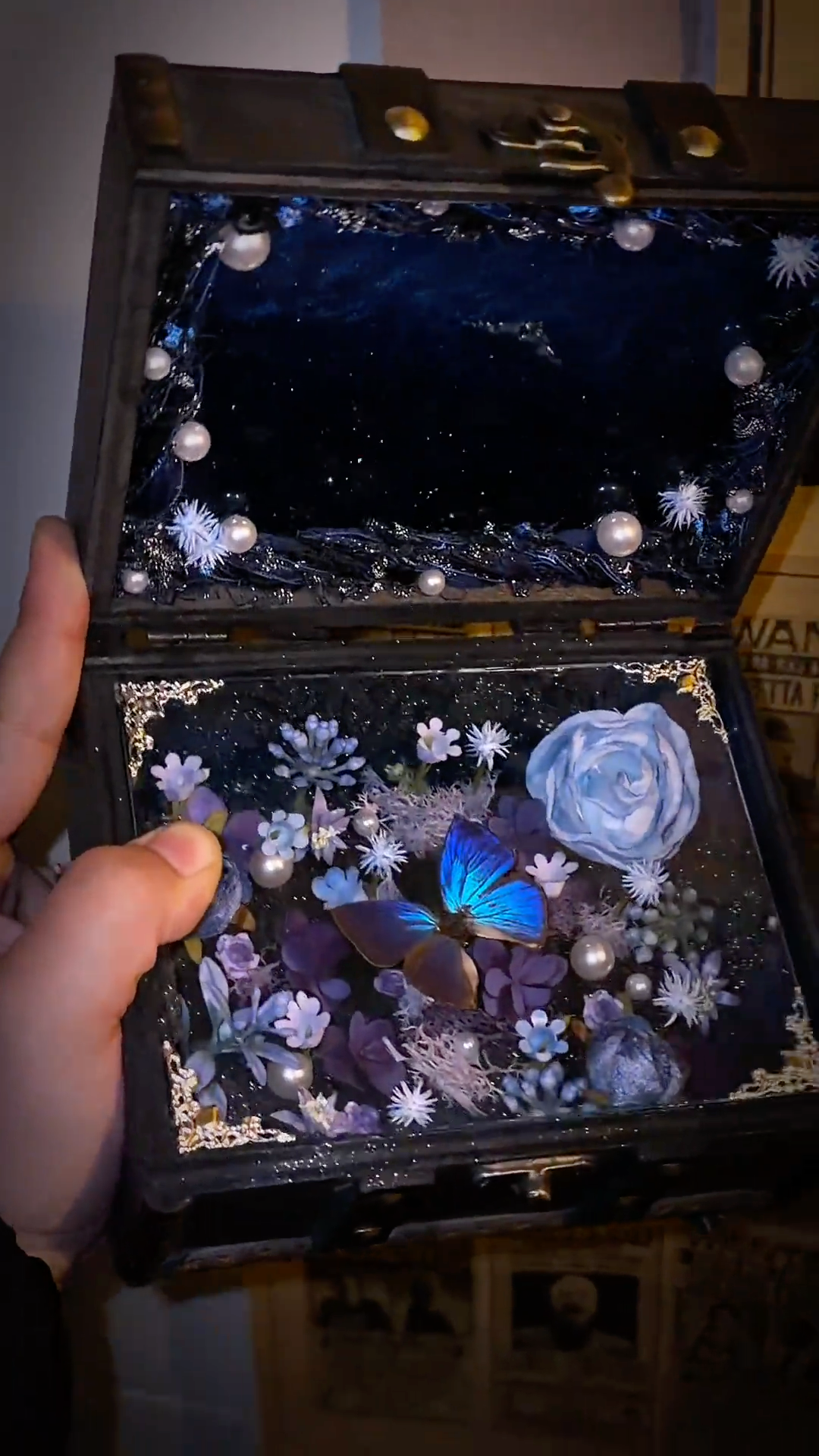 InsectArts Enchanted Botanical Music Box | Butterfly Diorama "Day & Night" Collection