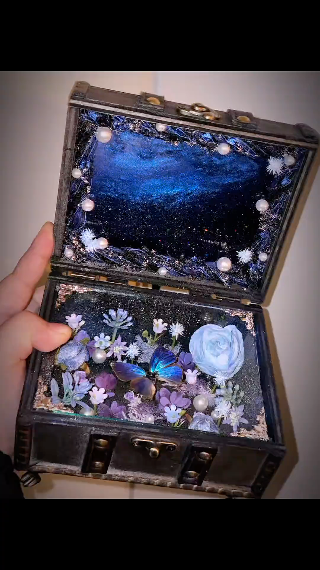 InsectArts Enchanted Botanical Music Box | Butterfly Diorama "Day & Night" Collection