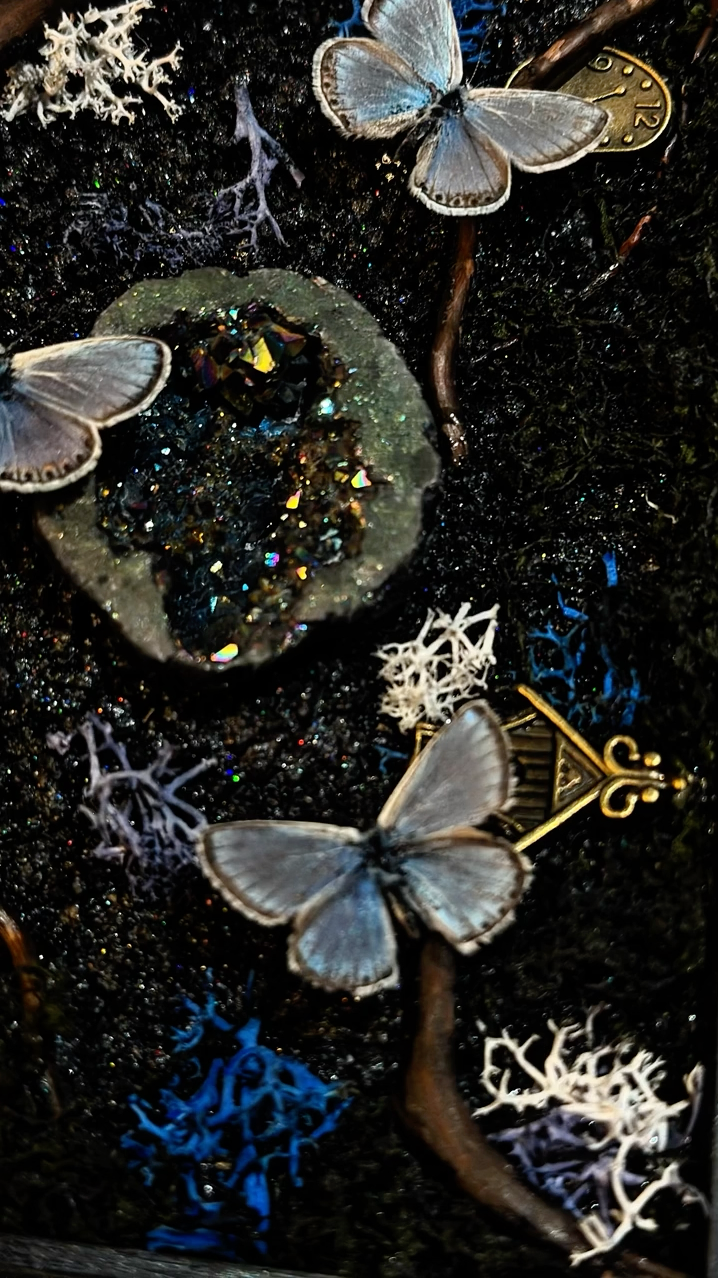 InsectArts Dark Mystic Morpho Treasure Box | Gothic Crystal & Woodland Curio