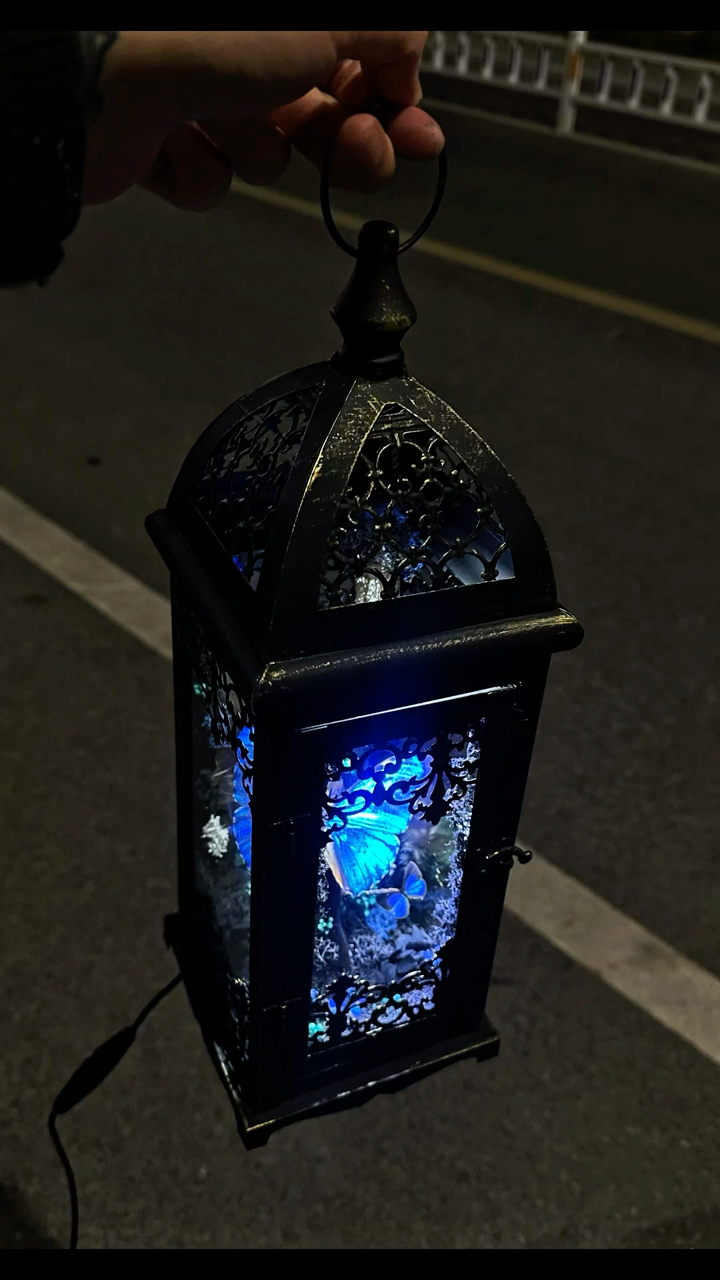 Black and White Lantern-Style Butterfly Specimen