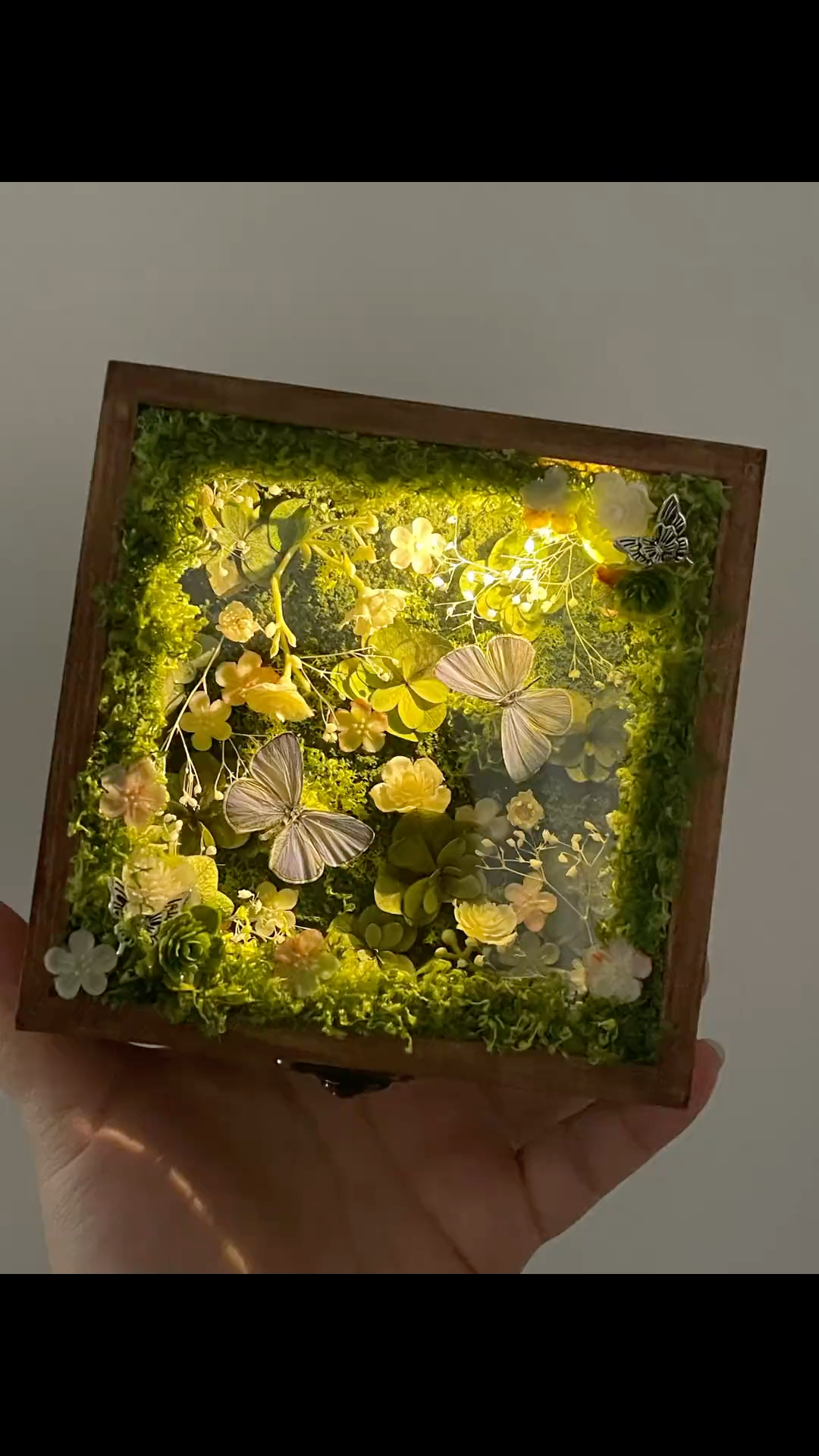InsectArts Enchanted Botanical Music Box | Butterfly Diorama "Day & Night" Collection