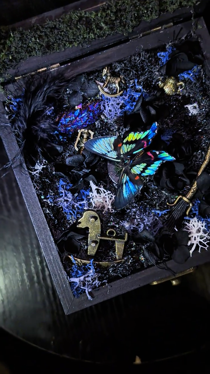 InsectArts Enchanted Botanical Music Box | Butterfly Diorama "Day & Night" Collection