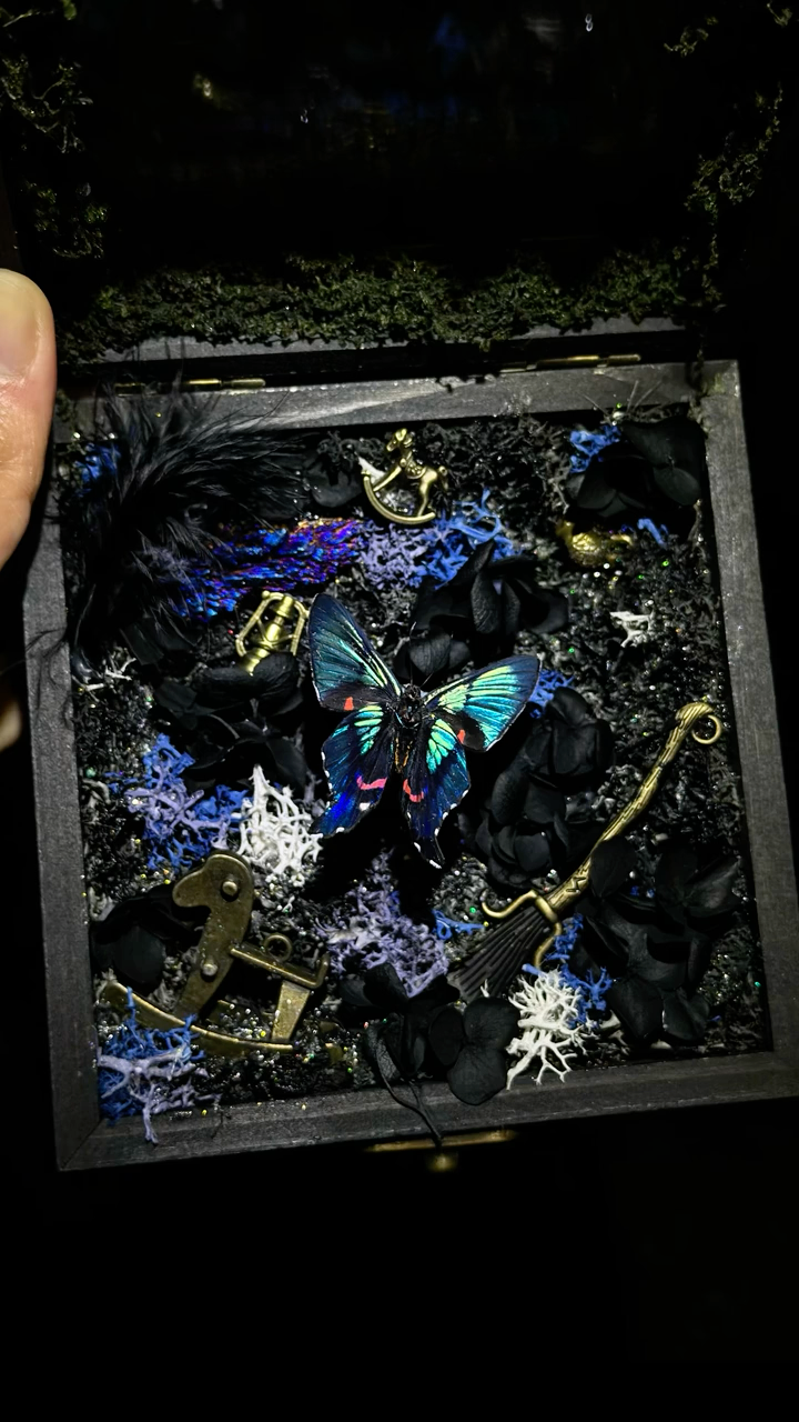 InsectArts Enchanted Botanical Music Box | Butterfly Diorama "Day & Night" Collection
