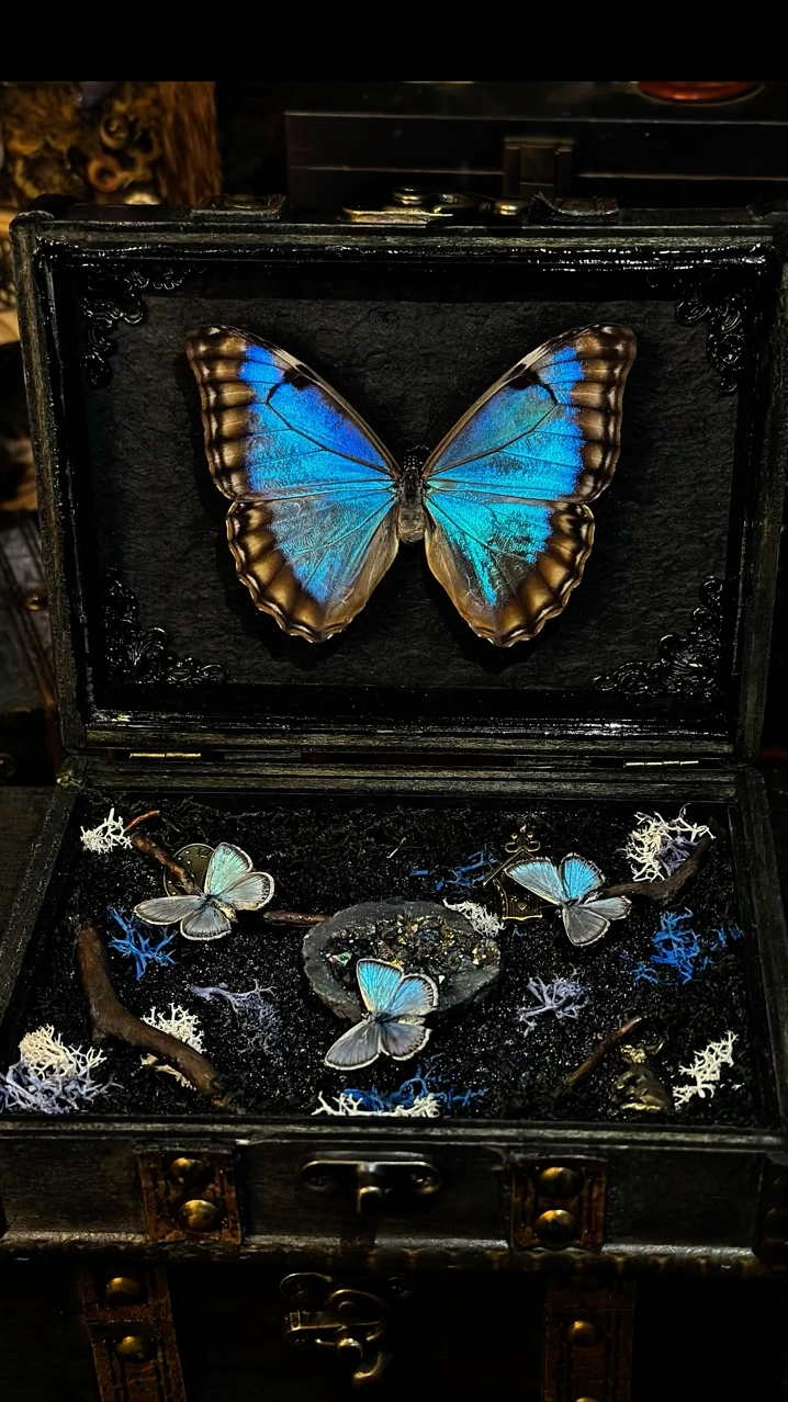 InsectArts Dark Mystic Morpho Treasure Box | Gothic Crystal & Woodland Curio