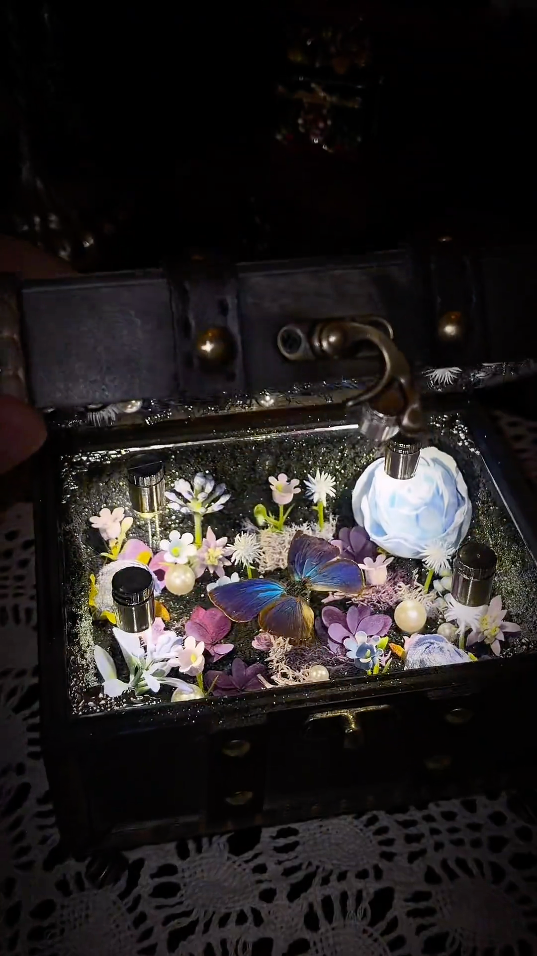 InsectArts Enchanted Botanical Music Box | Butterfly Diorama "Day & Night" Collection