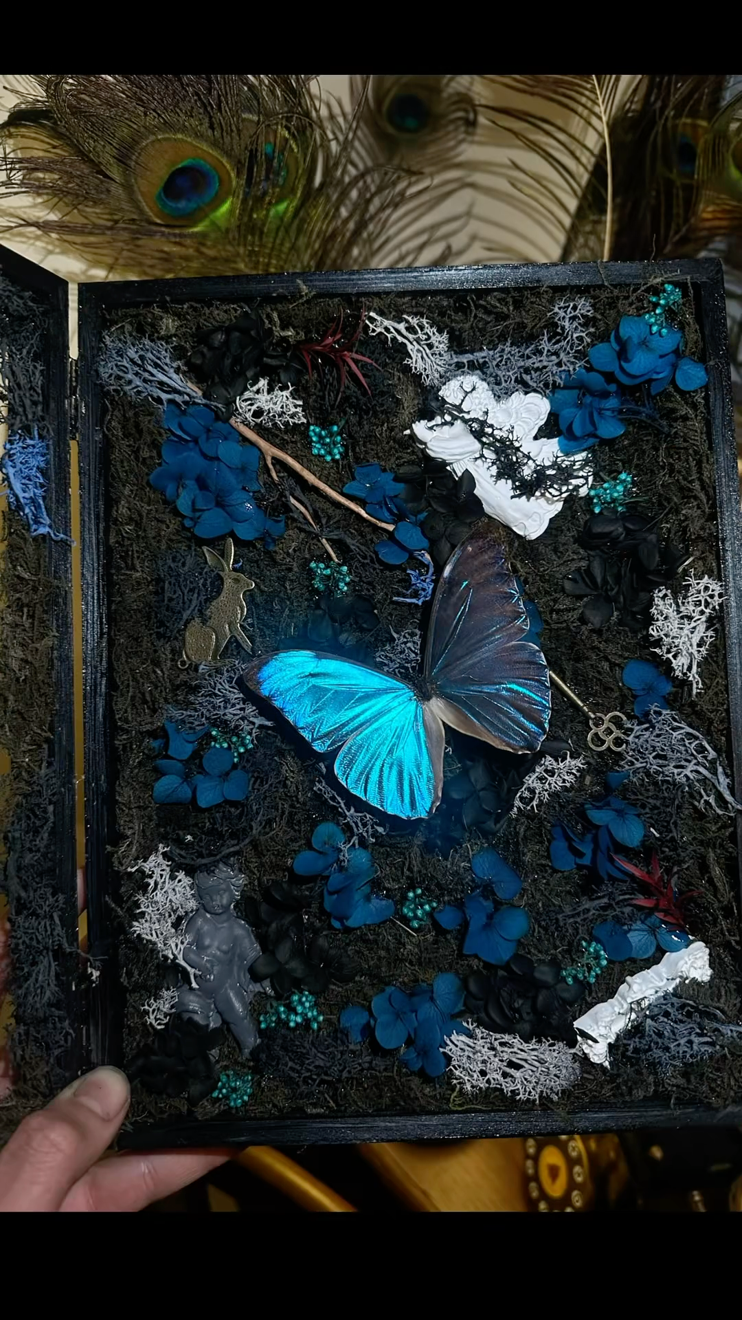 InsectArts Enchanted Morpho Treasure Box | Crystal & Moss Curio