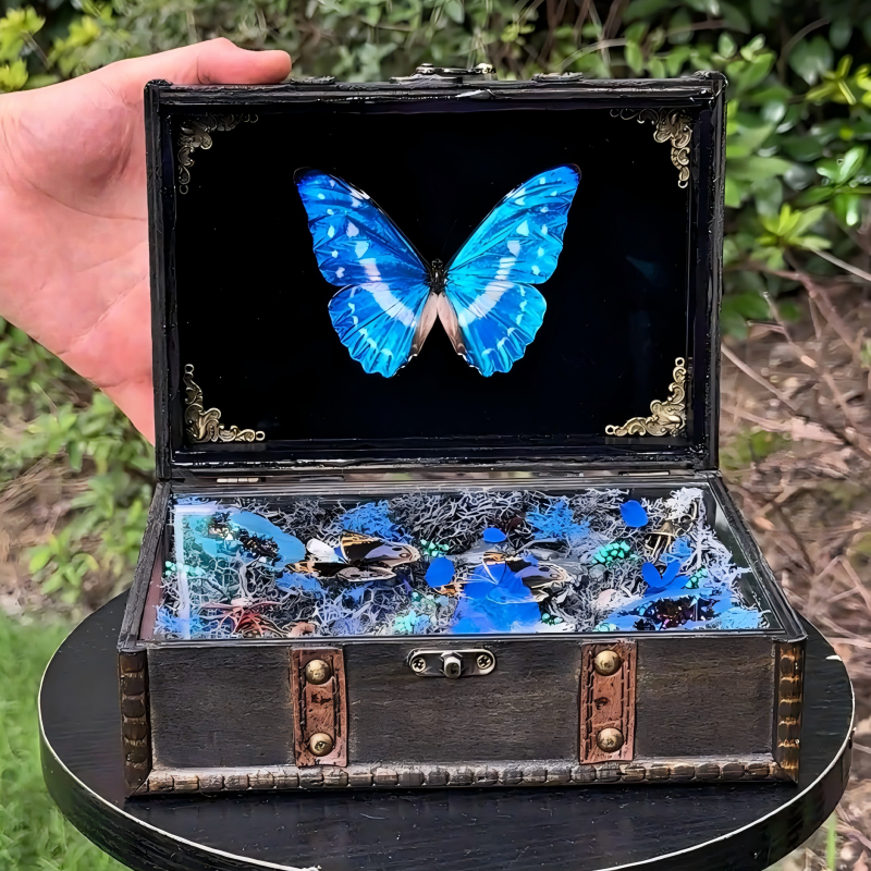 Enchanted Morpho Treasure Box – Crystal & Moss Curio