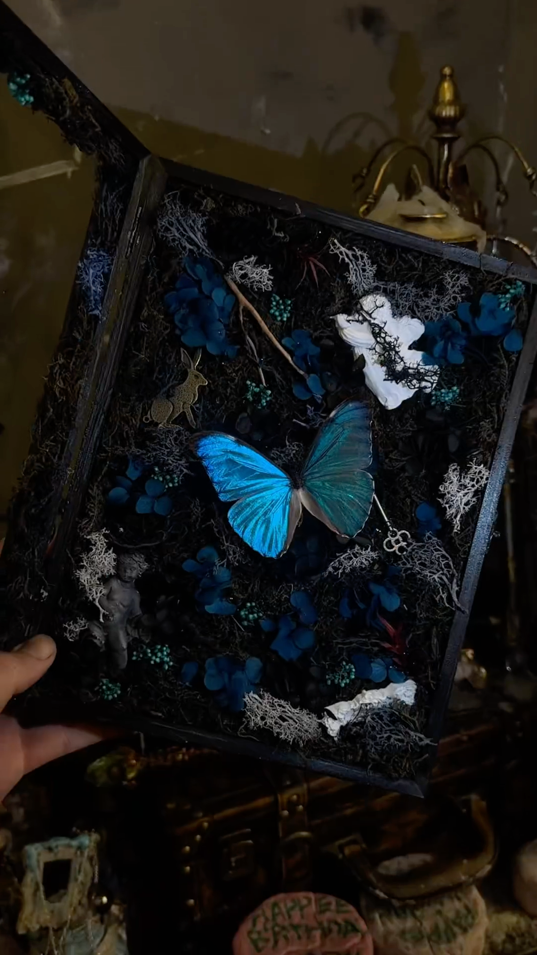InsectArts Enchanted Morpho Treasure Box | Crystal & Moss Curio