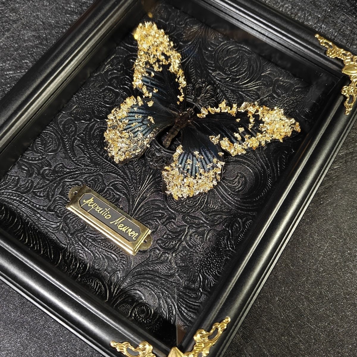 InsectArts luxury framed moth specimen with intricate gold celestial, sun, and moon illustrations on a black background. A premium esoteric entomology art piece and unique gothic home decor gift, presented in a black museum-quality frame.